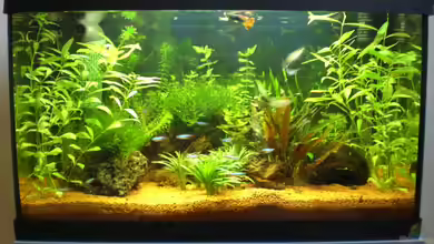 Becken 8133 von ChrisW