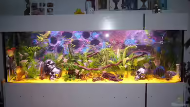 Becken 8220 von X-RULEZZ