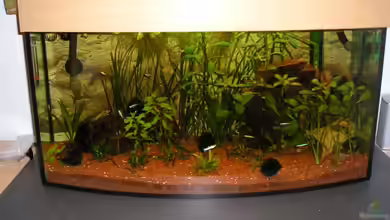 Becken 8222 von Patrick Wanders