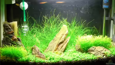 Becken 8289 von Lukas Forster