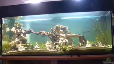 Becken 829 von Alexander Langer