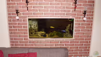 Becken 8302 von André Lenz