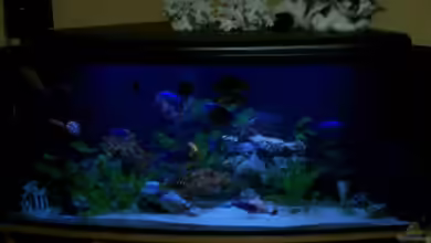 Becken 8347 von Stefan Buchwald