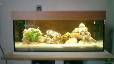 Becken 838 von vizekoenich