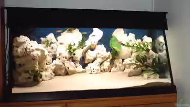 Becken 839 von Wolfgang Weiß