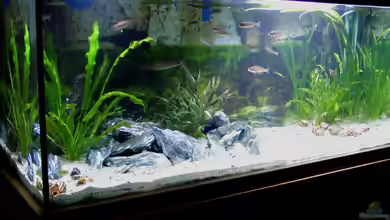 Becken 840 von Alexander Schimmelpfennig