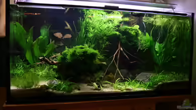 Becken 8463 von bull70