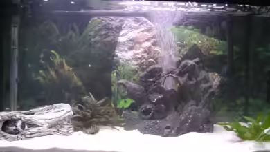 Becken 8546 von Jan Dreier