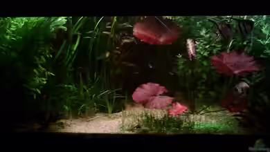 Becken 8563 von Sebastian Kunzmann