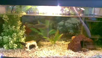 Becken 8602 von Andy_L