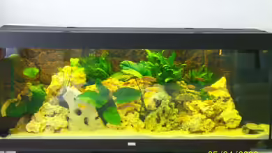 Becken 8686 von Rene Nolting