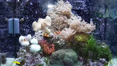 Becken 8731 von Uwe Zawadski