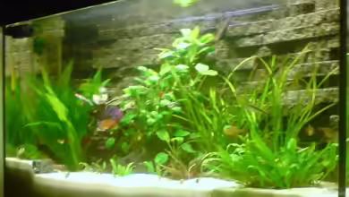 Becken 8734 von metz