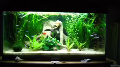 Becken 8748 von Elli und Dennis