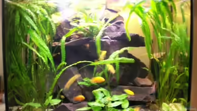 Becken 8767 von Sven Leyh