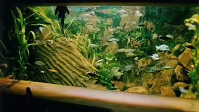 Becken 88 von Martin Fabick