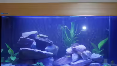 Becken 8886 von Uwe Zawadski