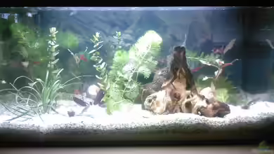 Becken 8914 von André Böhme