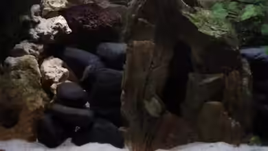 Becken 8920 von Aquawater