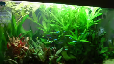 Becken 8926 von Andre Kussin