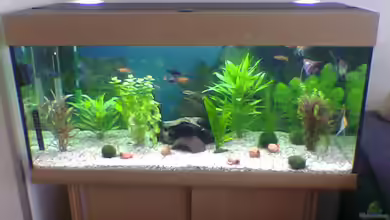 Becken 9173 von James Theunissen