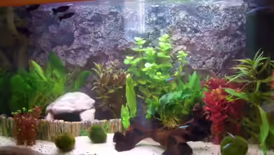 Becken 9186 von Karin Hiegelsperger