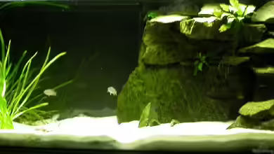 Becken 920 von Alex Stark