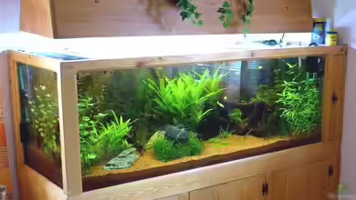 Becken 9211 von Michael Kunig