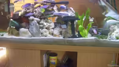 Becken 9274 von Julchen1985