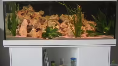 Becken 9341 von Mathias Schlett