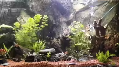 Becken 9347 von Hobytomy