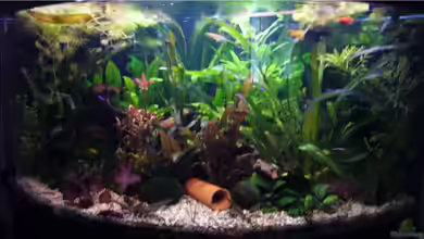 Becken 9357 von robbi850