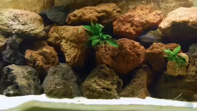 Becken 9378 von Angelundercover