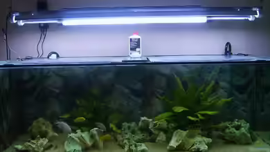 Becken 9383 von Dominik Kampmann