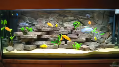 Becken 939 von Karsten Kettner