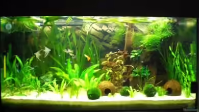 Becken 9394 von Holzi