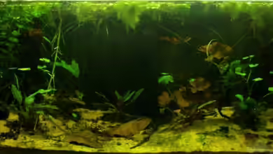 Becken 9411 von aetti