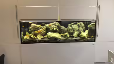 Becken 9414 von Benjamin Dietl