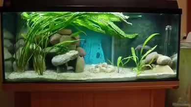 Becken 943 von Lotte Smirnova