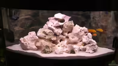 Becken 9457 von Jan Dreier