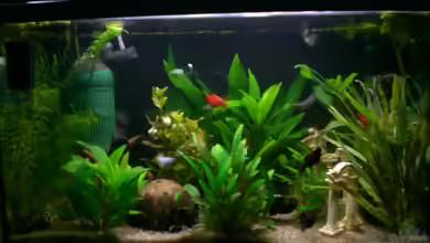 Becken 9483 von ninimuckel