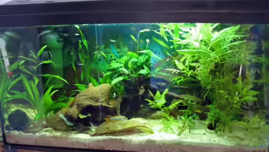 Becken 9511 von Achim Dengler