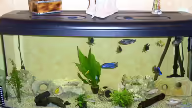 Becken 9525 von Nico Dräger