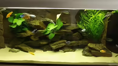 Becken 9607 - Nur noch Beispiel! von Branjo