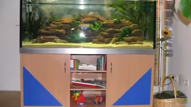 Becken 969 von Jochen Böhm