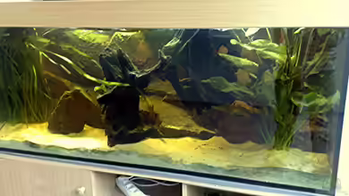 Becken 9757 von Lorenz Graf