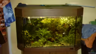 Becken 985 von Andreas Petkelis