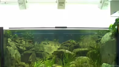 Becken 986 von Robert Bröhl