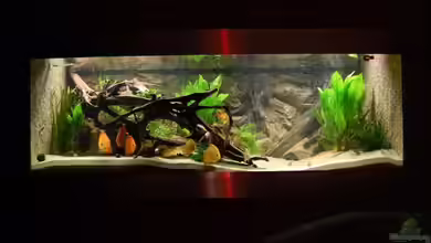 Becken 9948 von Peter Osebold