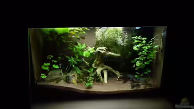 Becken Arbeitszimmer von Christian S.